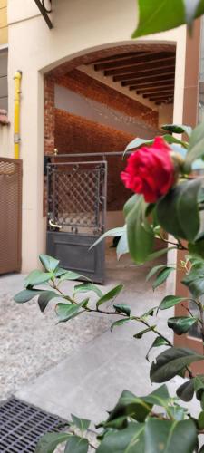 Santarella Guest House 3