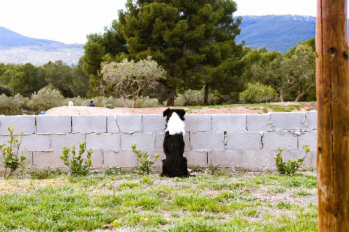 Masia en plena naturaleza y tranquilidad