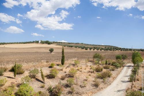 Arriadh Hotel - image 7