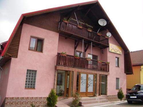 Pensiunea Bujor de Munte - Hotel - Petroşani