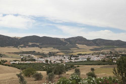 Arriadh Hotel - image 10