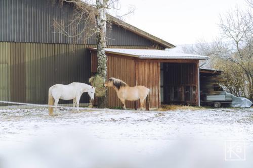 Kardemommehuset