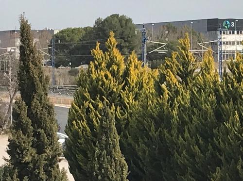 สภาพแวดล้อมโดยรอบ, Habitaciones Yanet in วิลาฟรานกาเดลเพเนเดส