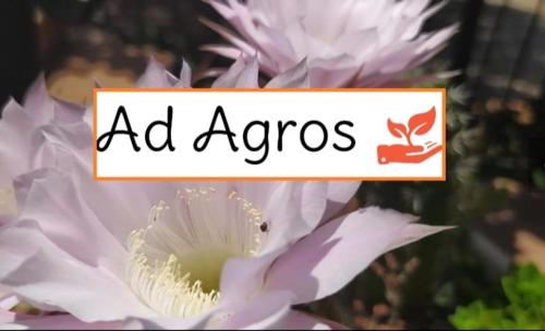 Ad Agros - Affittacamere