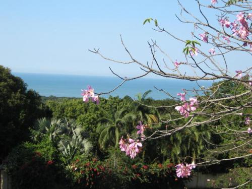 周邊環境, raphia on sea in 伍尊哲里