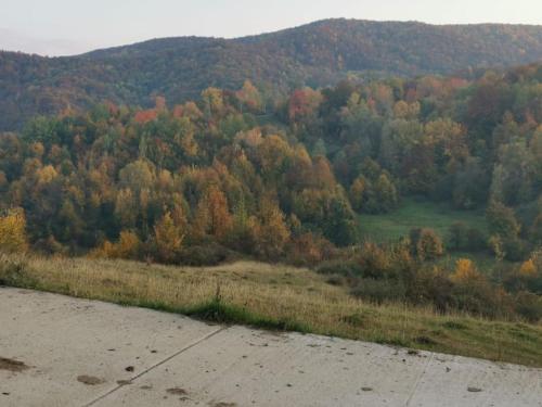 Cabanuta Fara Fite Cabanuta Fara Fite