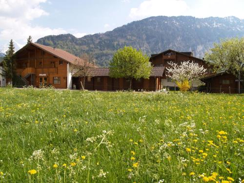 Salzano Basic Rooms Interlaken 5