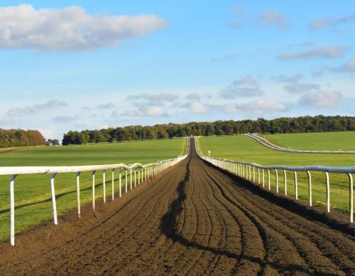 สภาพแวดล้อมโดยรอบ, Mill House Townhouse in นิวมาร์เก็ต