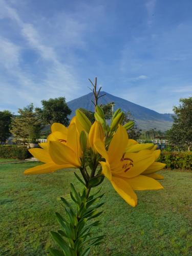 Nusantara Hotel Sembalun