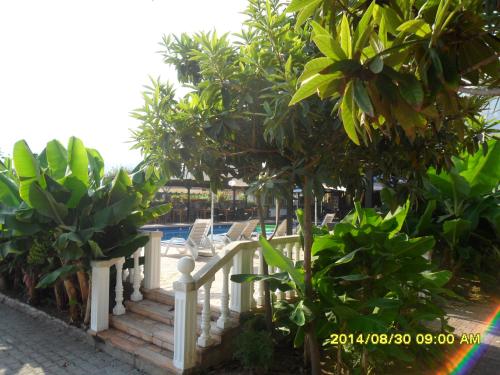 Club Alda - image 6