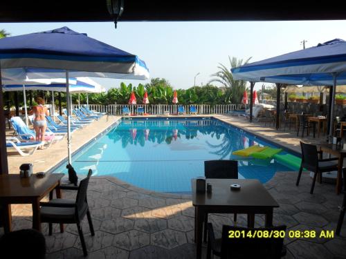 Club Alda - image 12