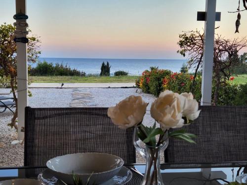 Ocean Pearl, Peyia (foto 4)