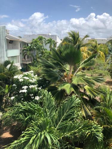 Résidence MARINA 3 (Residence MARINA 3) in Letruāileta