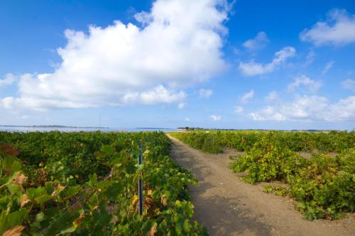 Isole Dello Stagnone Apartaments