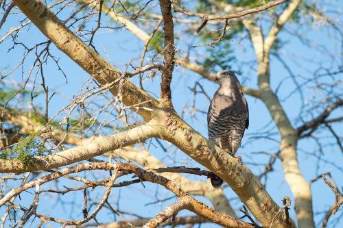 Zululand Lodge Zululand Lodge
