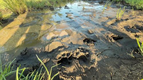 Zululand Lodge Zululand Lodge