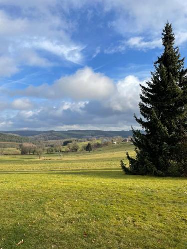 Les Caliciades 3 à Gros-Fays