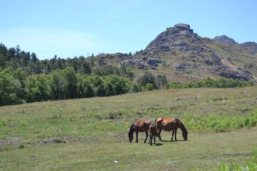 Vale Glaciar, Turismo Rural - Branda da Aveleira gîte à louer Branda da Aveleira