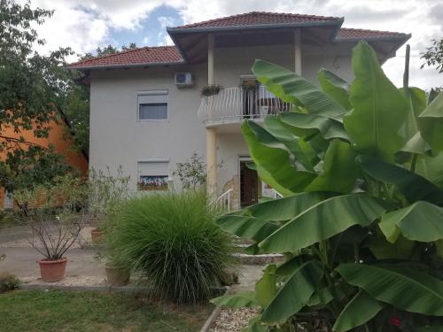 Szilvia apartman in Harkany