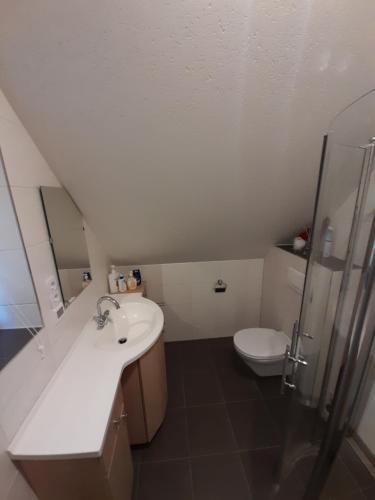 Bathroom, Ferienwohnung Zetzhirsch in Loipersdorf