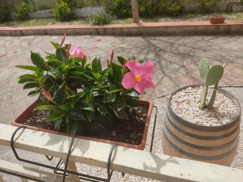 B&B Lara Santola – Corato, LA