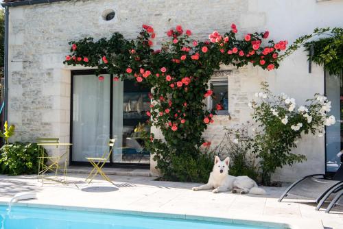 Le Logis de La Brumanderie - Saintes