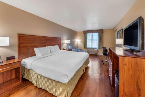 King Room with Walk-In shower - Disability Access/Non-Smoking