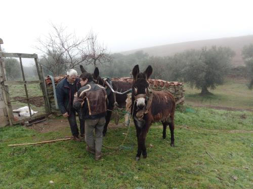 O Palheirinho - Turismo Rural - Bragança