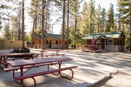 Little Pines-102 by Big Bear Vacations - image 11