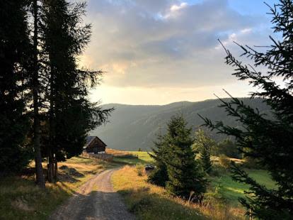 Gasthaus Luggwirt - image 8