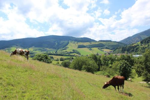 Landgasthof zum Schützen