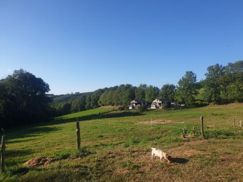 les chalets de l'essentiel