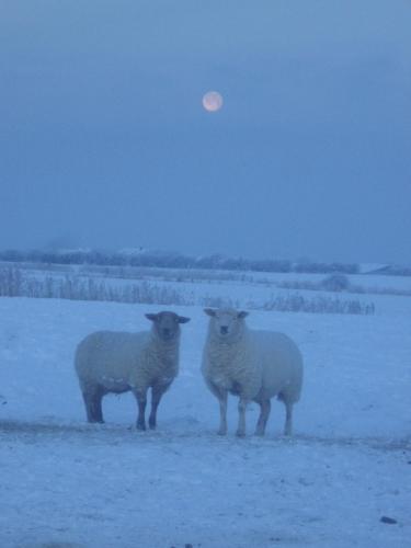 Facilities, Dorotheenhof in Sankt Peter-Ording