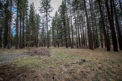 Ann's Place-1089 by Big Bear Vacations - image 10