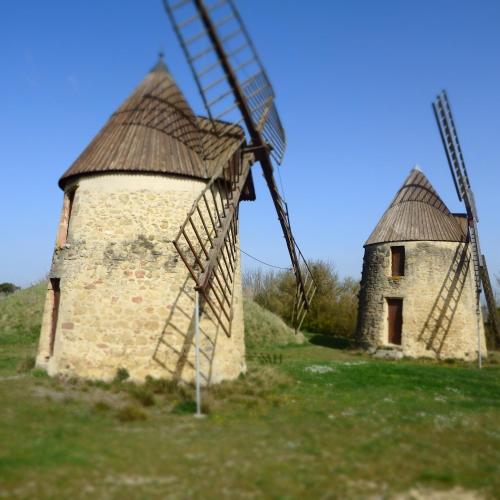 L'oustal des Fontanilles 4