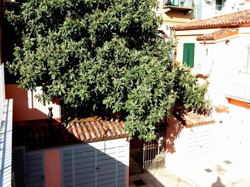 Residenza il Nespolo - image 9