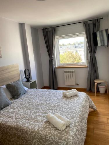 Pension Ameneiral near สนามบินซานติอาโก เด กอมโปสเตลา