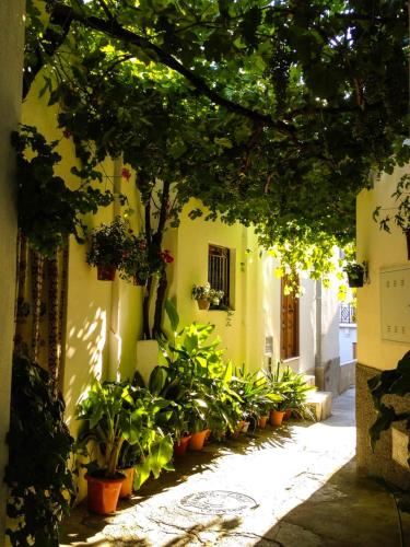 Ieeja, Casa corasol, a cozy, comfy, 2BR house- panoramic view and rooftop in Carataunas
