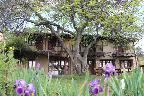 Casa Rural - Apartamentos Atuvera - El Durazno