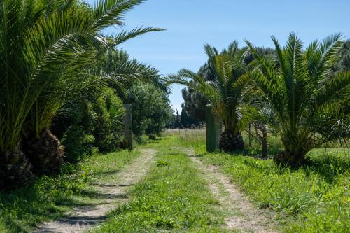 Camping Sol y Mar