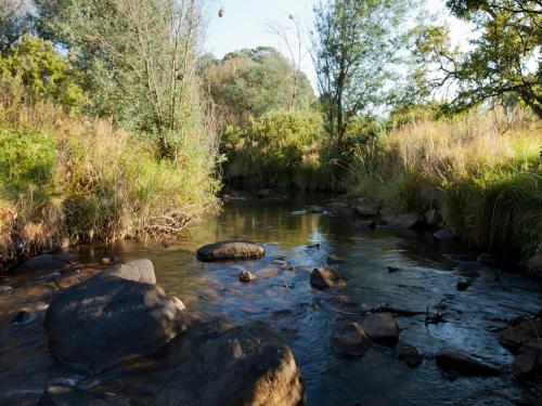 Whispering Waters