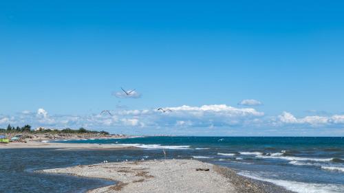 Camping Sol y Mar