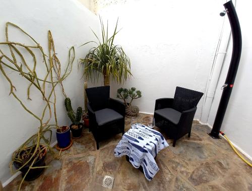 Casa Pescado a la sombra de un drago 1