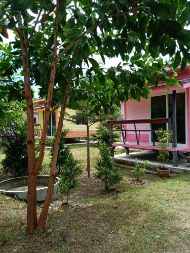 Win Gray Homestay Resort - 주변 환경