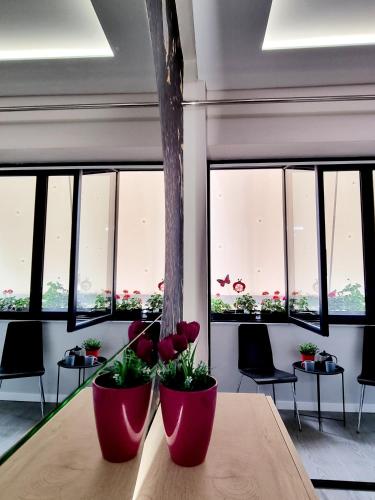 Lovely new apartment near Tirana's artificial Lake, Tirana (photo 3)