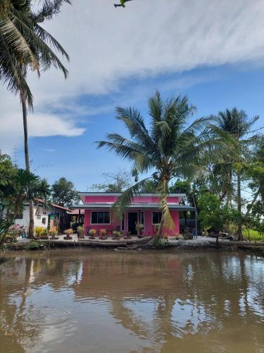 Pink Homestay D'Perlis