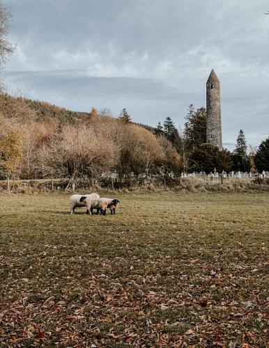 Glendalough International Youth Hostel