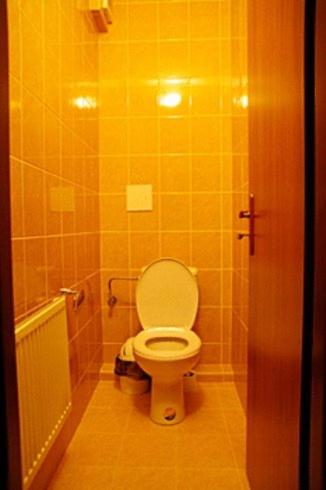 Ванна кімната, Penzion* ADONAI SLOVAKIA in Банська Бистриця