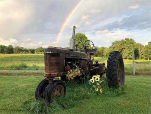 . The Whole Farm -- Apartment & Tiny Home -- Come Play and Stay on the Farm!