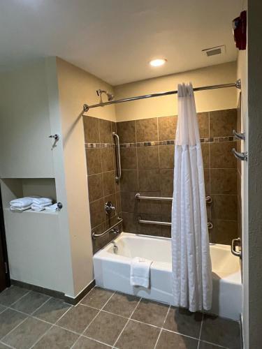 Comfort Inn & Suites Washington - image 8